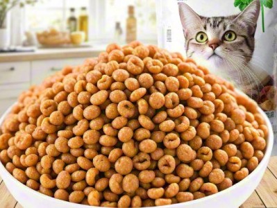 Wet vs dry food for cats: What’s the best choice?