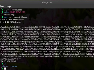  ToaruOS 系统