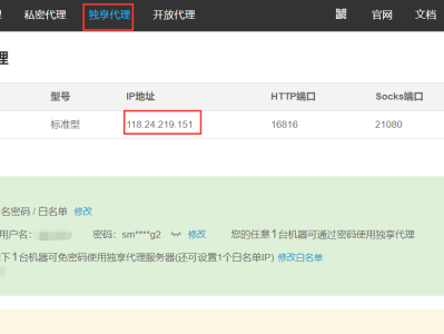 使用代理IP