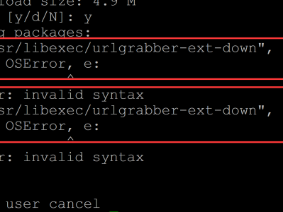 File "/usr/libexec/urlgrabber-ext-down", line 28 except OSError, e: