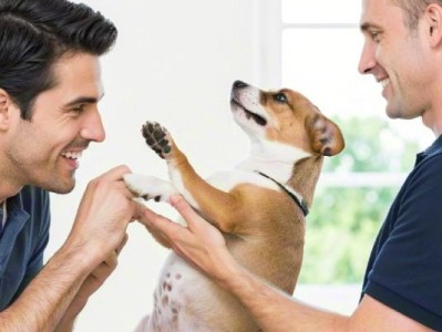 How to understand your dog’s body language
