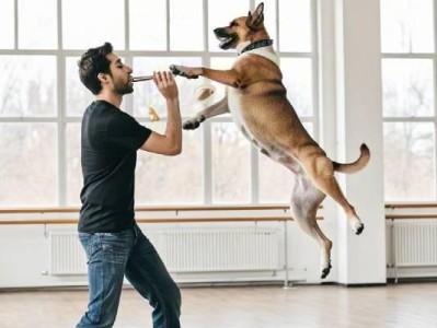 How to train your dog to do tricks
