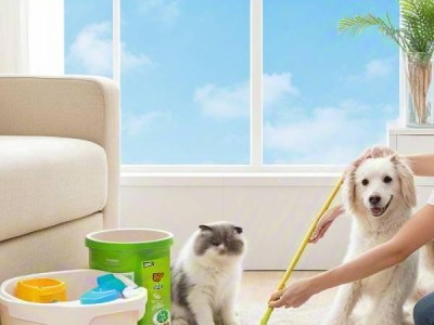 How to prepare your home for an adopted pet