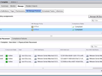 VSAN  见证是什么？
