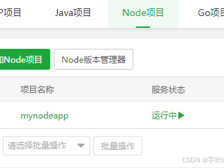 如何将本地 Node.js 服务部署到宝塔面板：完整的部署指南