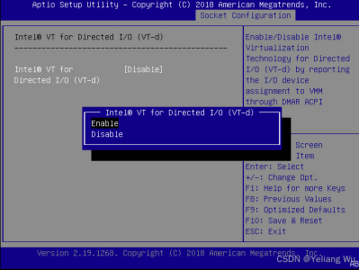 proxmox透传nvme磁盘