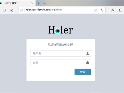 Holer - 类Lanproxy内网穿透工具带WEB管理面板