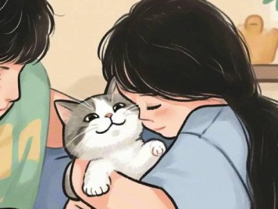 How to develop a strong bond with your cat