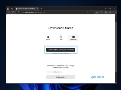 Ollama on Windows：本地运行大语言模型的利器