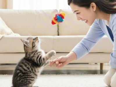 Teaching your cat to play fetch