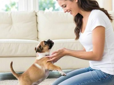 How to bond with your new puppy