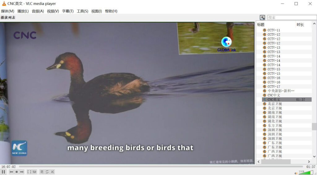 IPTV 直播源 亲测有效，精选全球 IPTV直播源