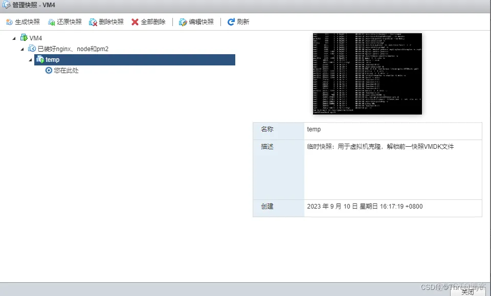 如何将esxi中的vib复制出来 esxi复制文件到虚拟机_IP_05